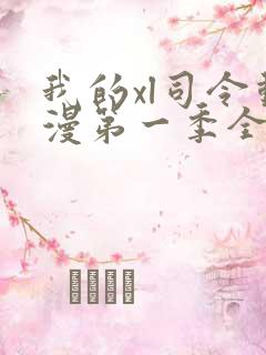 我的xl司令动漫第一季全集在线观看