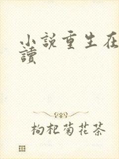小说重生在线阅读