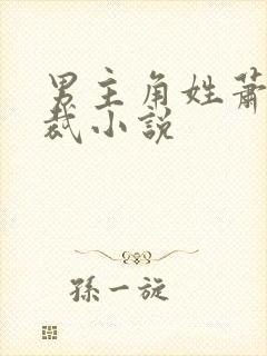 男主角姓萧的总裁小说