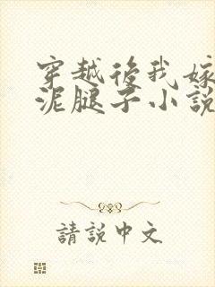 穿越后我嫁给了泥腿子小说