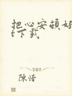 把心安顿好txt下载