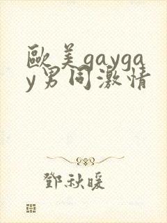 欧美gaygay男同激情