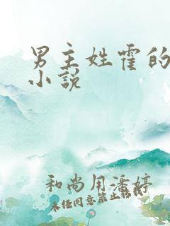 男主姓霍的总裁小说