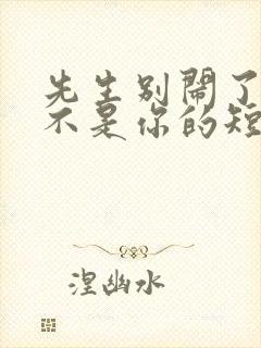 先生别闹了新娘不是你的短剧完版全集