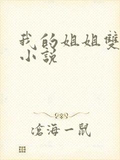 我的姐姐双女主小说