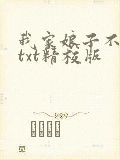 我家娘子不对劲txt精校版