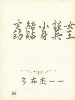 完结小说女总裁的贴身兵王