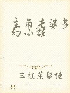 主角老婆多的玄幻小说