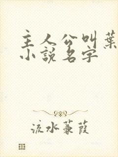 主人公叫叶帆的小说名字