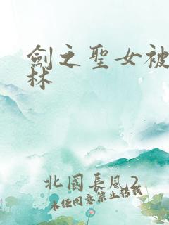 剑之圣女被哥布林