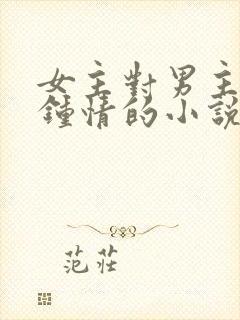 女主对男主一见钟情的小说
