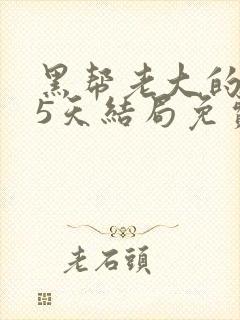 黑帮老大的365天结局免费观看全集3