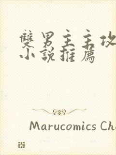 双男主主攻文类小说推荐