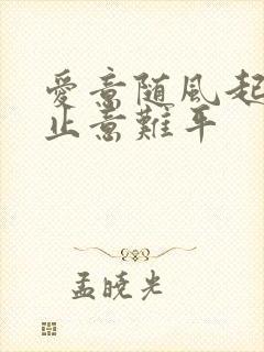 爱意随风起 风止意难平