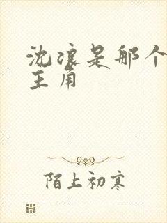 沈浪是那个小说主角