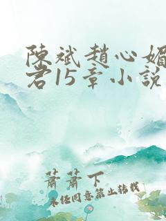 陈斌赵心媚高婉君15章小说