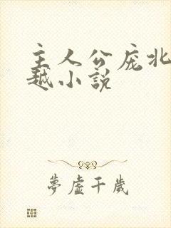 主人公庞北的穿越小说