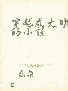 穿越成大明朱棣的小说