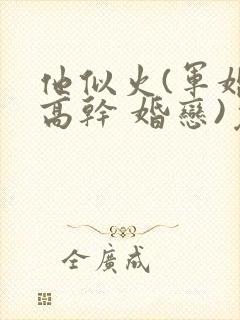 他似火(军婚 高干 婚恋)免费阅读