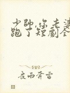 少帅,你老婆又跑了短剧全集在线观看