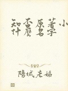 知否原著小说叫什么名字