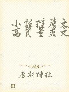 小说推荐文笔好高质量爽文