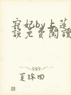 宠妃by上莲小说免费阅读