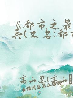 《都市之最强狂兵(又名:都市狂枭)》