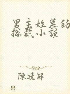 男主姓慕的所有总裁小说