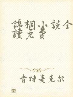 锦桐小说全文阅读免费