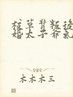 校草背叛后我闪婚太子爷气疯他苏念笙时逾