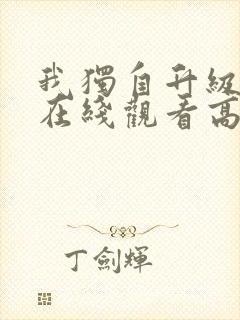 我独自升级动漫在线观看高清