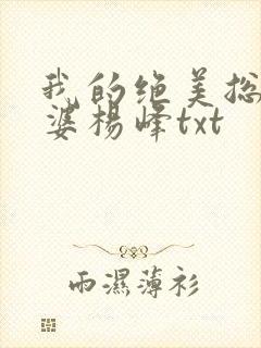 我的绝美总裁老婆杨峰txt