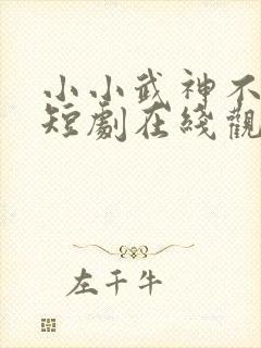 小小武神不好惹短剧在线观看