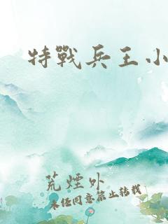 特战兵王小说版