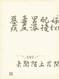 恶毒男配嫁给残疾反派后txt