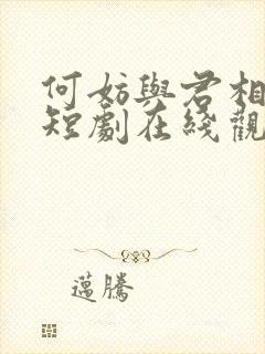 何妨与君相决绝短剧在线观看