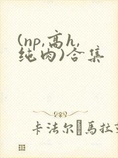 (np,高h,纯肉)合集