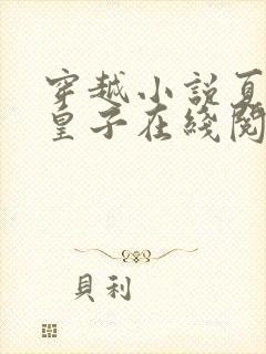 穿越小说夏天九皇子在线阅读