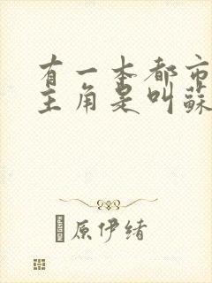 有一本都市小说主角是叫苏辰