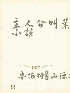 主人公叫叶观的小说