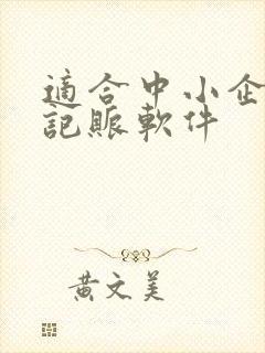 适合中小企业的记账软件