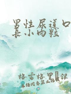 男性尿道口皮上长小肉粒