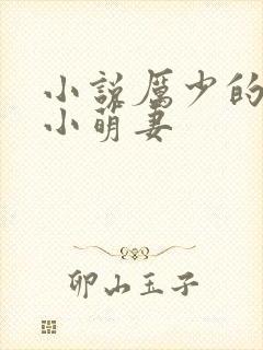 小说厉少的闪婚小萌妻