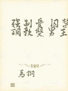 强制爱 囚禁 调教双男主