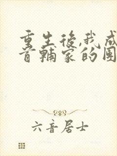 重生后,我成了首辅家的团宠小说