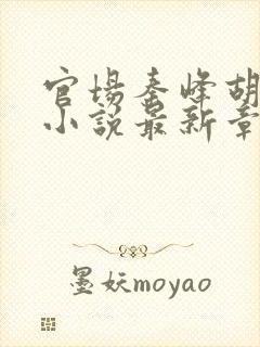 官场秦峰胡佳云小说最新章节内容