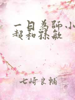 一日为师小说李超和孙敏