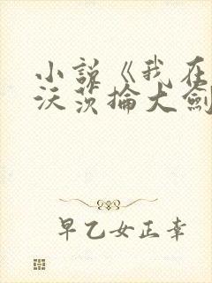 小说《我在霍格沃茨抡大剑》