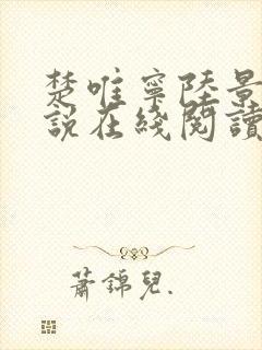 楚唯宁陆景衔小说在线阅读